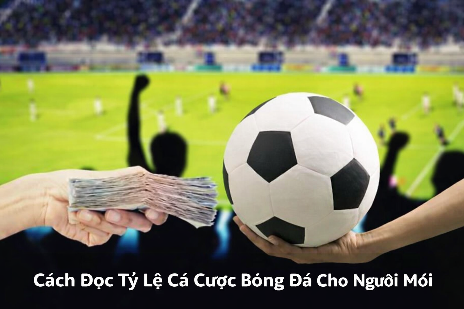 Cách Đọc Tỷ Lệ Cá Cược Bóng Đá Cho Người Mới