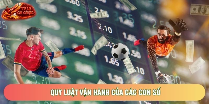 Quy luật vận hành của các con số Quy luật vận hành của các con số