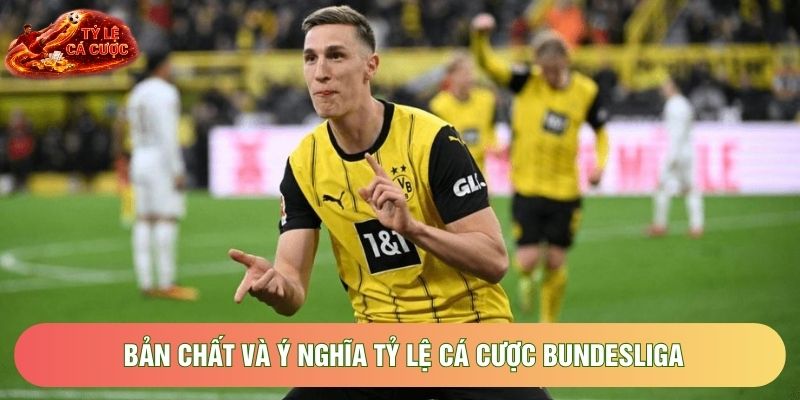 Bản chất và ý nghĩa tỷ lệ cá cược Bundesliga Bản chất và ý nghĩa tỷ lệ cá cược Bundesliga