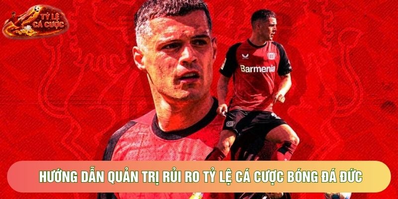 Hướng dẫn quản trị rủi ro tỷ lệ cá cược bóng đá Đức Hướng dẫn quản trị rủi ro tỷ lệ cá cược bóng đá Đức