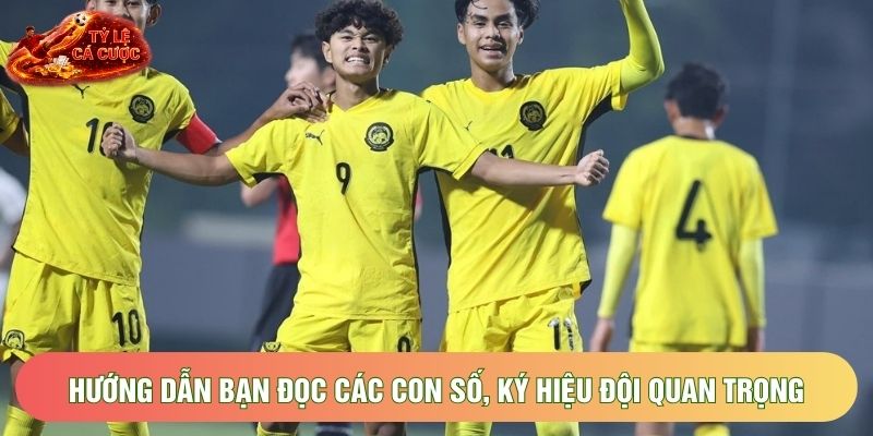 Hướng dẫn bạn đọc các con số, ký hiệu đội quan trọng Hướng dẫn bạn đọc các con số, ký hiệu đội quan trọng