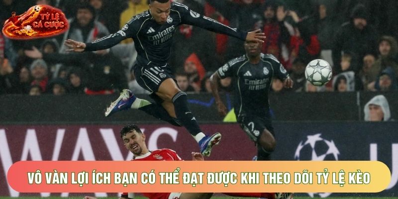 Vô vàn lợi ích bạn có thể đạt được khi theo dõi tỷ lệ kèo