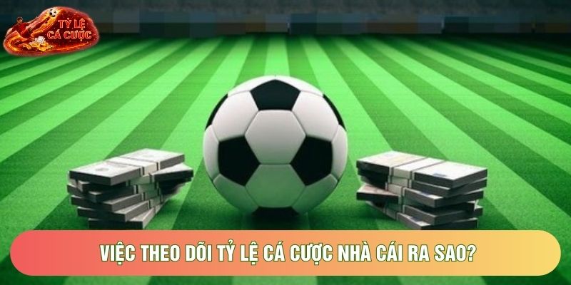 Việc theo dõi tỷ lệ cá cược nhà cái ra sao?